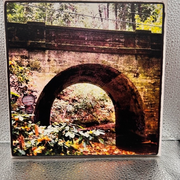 These canvas prints are so special! 8 x 8 and size great for gifting! - Picture 7 of 15